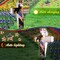 Memorial Day Patriotic Garden Stake Solar Lighted 4th of July Independence Veterans Day Solar Outdoor Yard Decorations